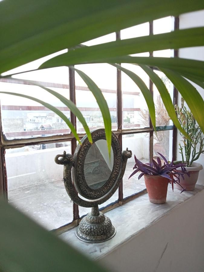 Cocoon Auberge ジャイプール エクステリア 写真