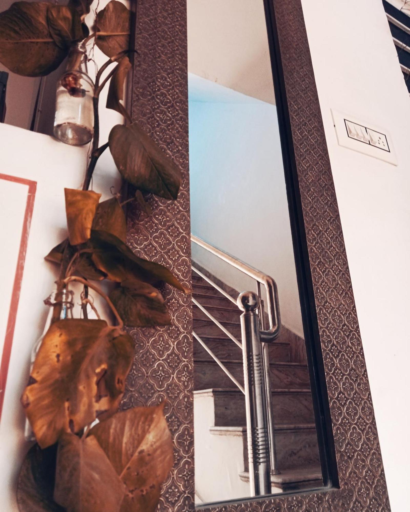 Cocoon Auberge ジャイプール エクステリア 写真